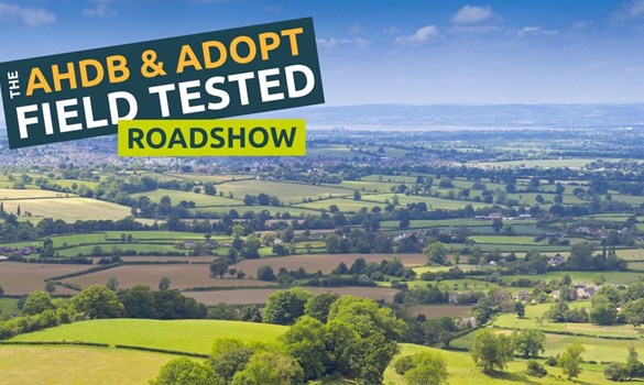 AHDB and ADOPT logo showing a birds eye view.